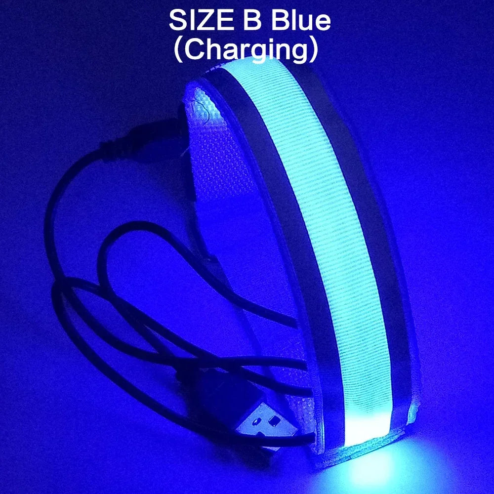 Zardinni SignalBand™ LED Strap